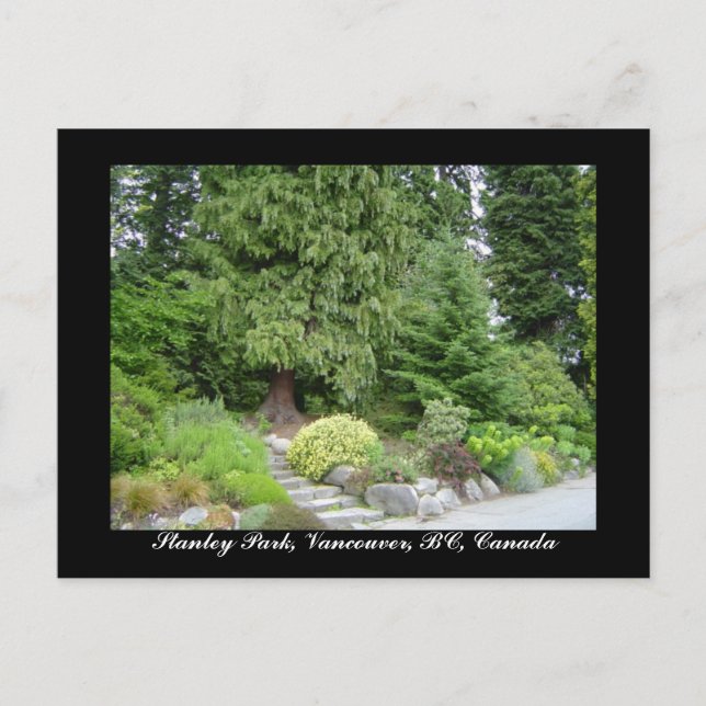 Stanley Park, Vancouver, BC Postcard Postkarte (Vorderseite)
