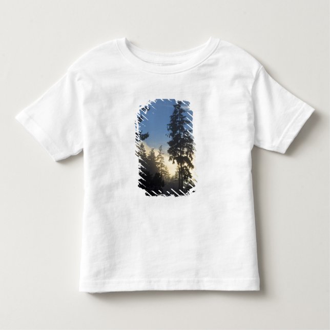 Stanley Park, Wald, Nebel der Meeresschicht Kleinkind T-shirt (Vorderseite)