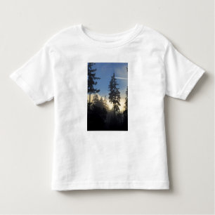 Stanley Park, Wald, Nebel der Meeresschicht Kleinkind T-shirt