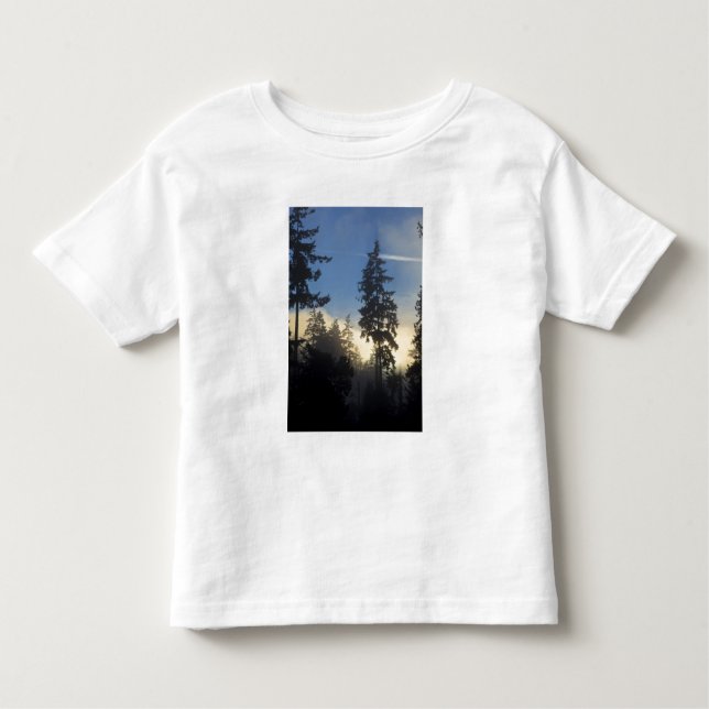 Stanley Park, Wald, Nebel der Meeresschicht Kleinkind T-shirt (Vorderseite)
