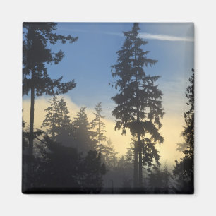 Stanley Park, Wald, Nebel der Meeresschicht Magnet