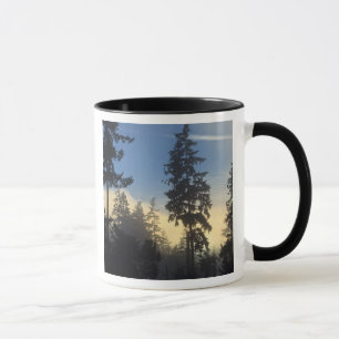 Stanley Park, Wald, Nebel der Meeresschicht Tasse