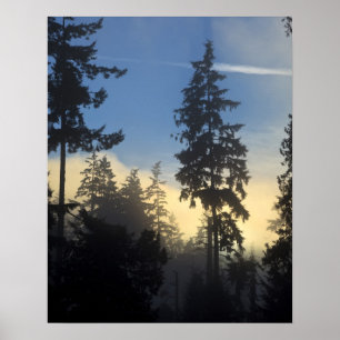 Stanley Park, Wälder, Meeresnebelschicht zieht her Poster