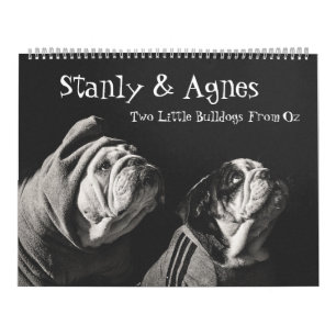 Stanly & Agnes - zwei kleine Bullhunde von Oz Kalender