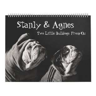 Stanly & Agnes - zwei kleine Bullhunde von Oz Kalender