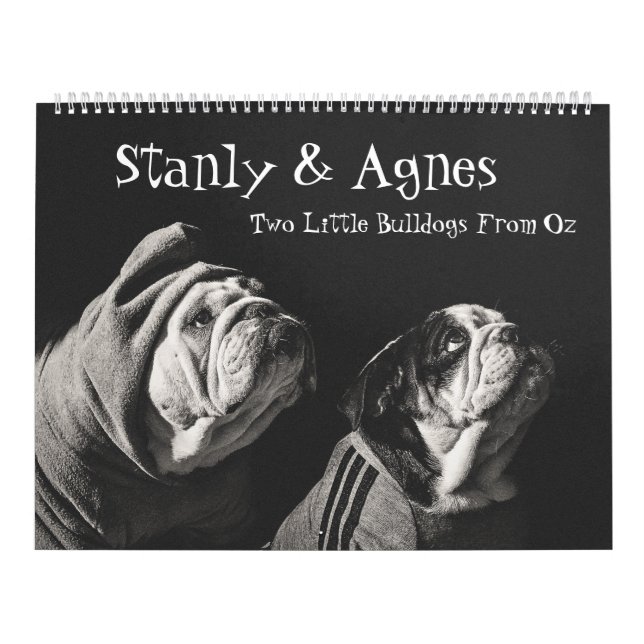 Stanly & Agnes - zwei kleine Bullhunde von Oz Kalender (Titelbild)