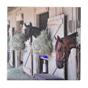 Stanwyck durch Reich-Hersteller Fliese