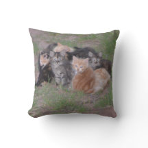 Stapel der Kätzchen