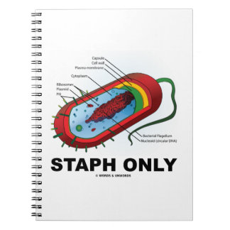 Staph nur (Bakteriendiagramm Prokaryote Bakterien) Notizblock