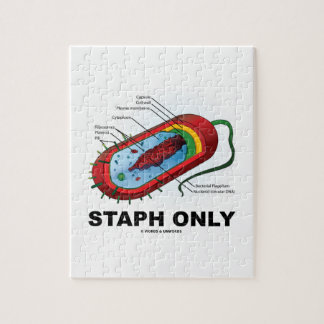 Staph nur (Bakteriendiagramm Prokaryote Bakterien) Puzzle