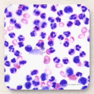 Staphyloinfektion Untersetzer