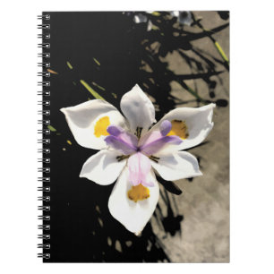 Star-Blume Notizblock