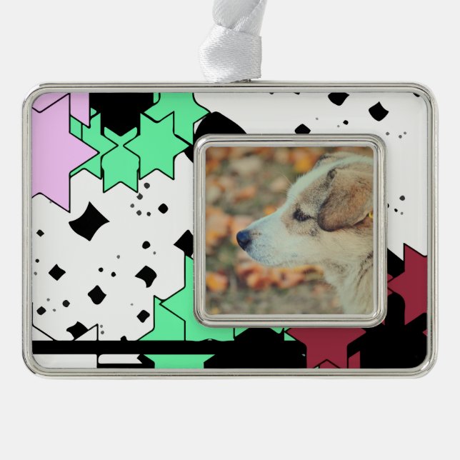 Star-Blume Rahmen-Ornament Silber (Vorderseite)