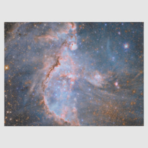 Star Cluster NGC 346 Seidenpapier