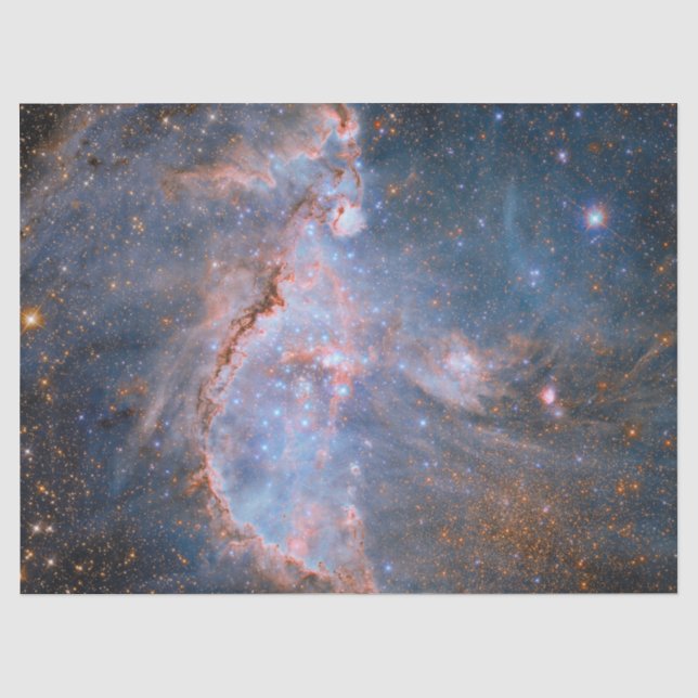 Star Cluster NGC 346 Seidenpapier (Vorderseite)
