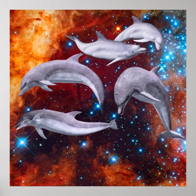 Star Delphine Poster (Vorne)