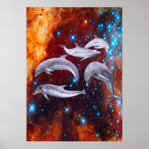 Star Delphine Poster