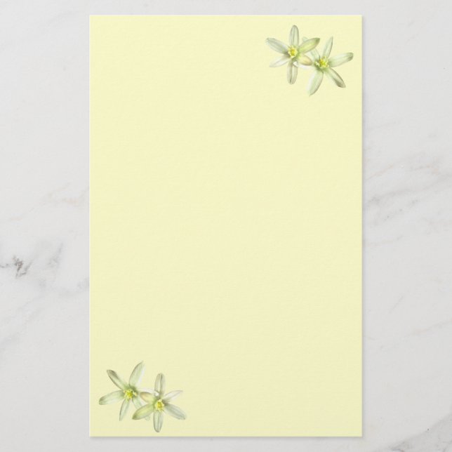 Star der Bethlehem Stationery Briefpapier (Vorderseite)