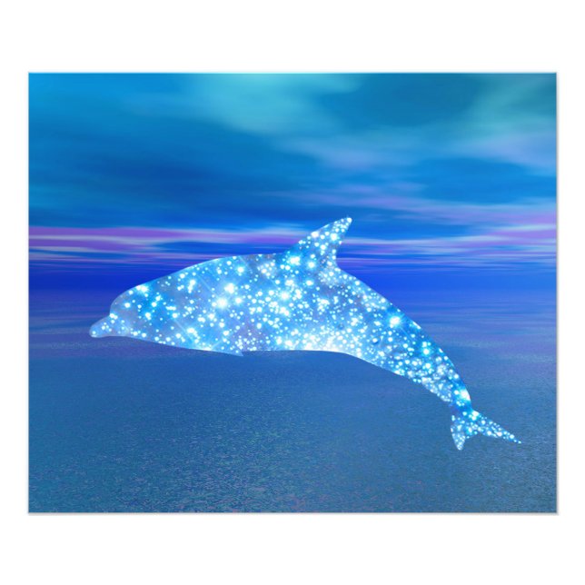 Star Dolphin Fotodruck (Vorne)