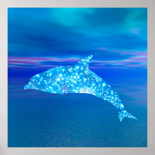 Star Dolphin Poster