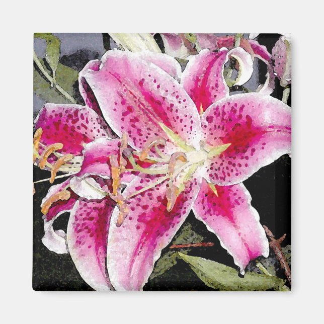 Star Gazer Lily Art Magnet (Vorne)
