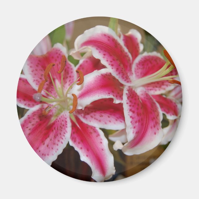 Star Gazer Lily Round Magnet (Vorne)