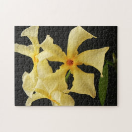 Star Jasmine Blume 11x14 252pc jpcnm Puzzle