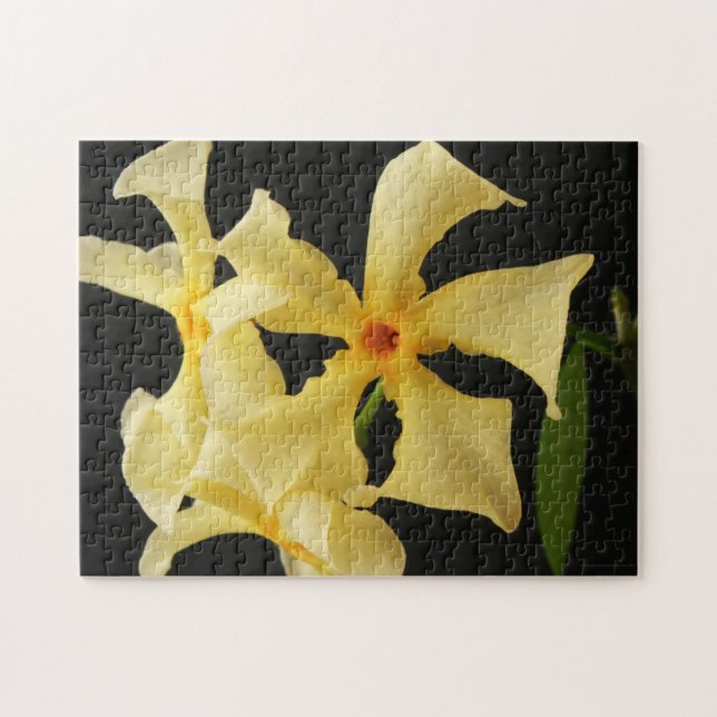 Star Jasmine Blume 11x14 252pc jpcnm Puzzle (Horizontal)