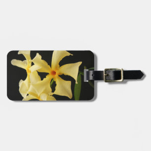 Star Jasmine Blume cd ltcna Gepäckanhänger