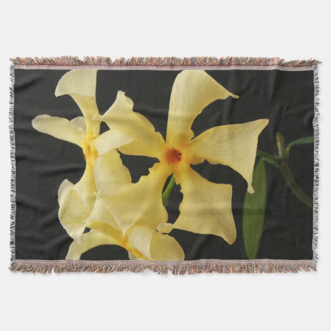 Star Jasmine Blume tbcna Decke (Vorderseite)