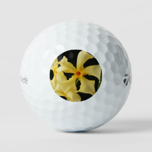 Star Jasmine Blume tmtp5 gbcnm Golfball