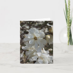 Star Magnolia Blooms Dankeskarte