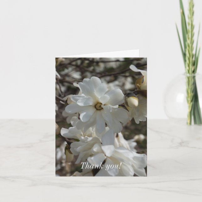 Star Magnolia Blooms Dankeskarte (Vorderseite)