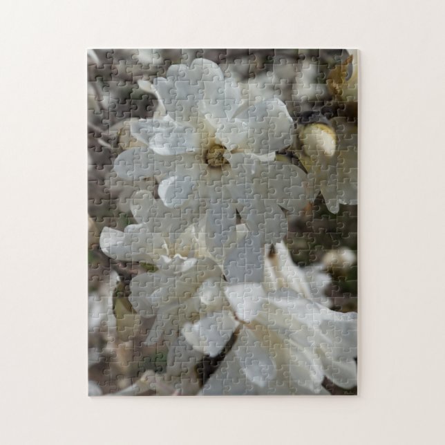Star Magnolia Blooms Jigsaw Puzzle (Vertikal)