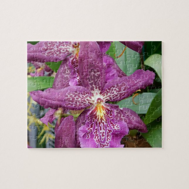 Star Orchids Puzzle (Horizontal)