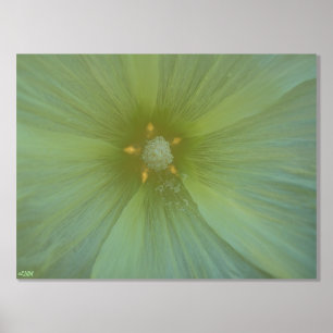 Star Pollen Gold Foil Print Foliendrucke