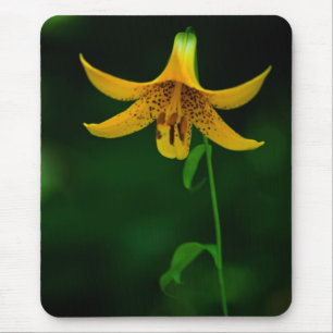 Star Pose Mousepad