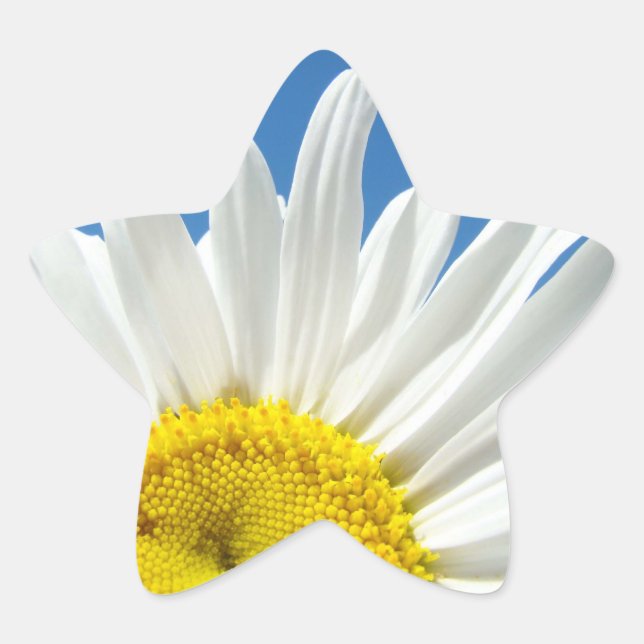 Star Shape Aufkleber Weiße Daisy-Blume Blumengeste (Vorderseite)