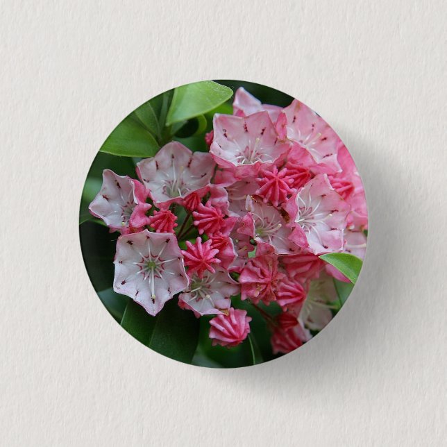 Star Shaped Kalmias Button (Vorderseite)