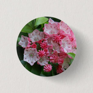 Star Shaped Kalmias Button