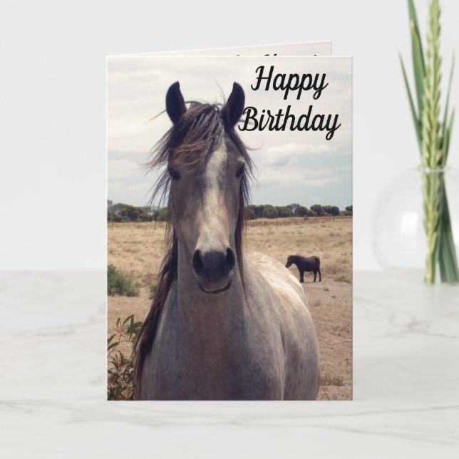 Star the Arab Pony, Geburtstagskarte (Vorderseite)