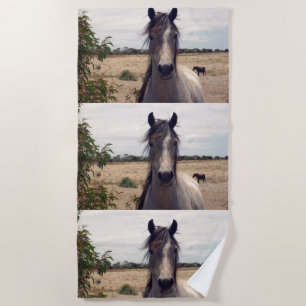 Star The Arab Pony, Strandtuch
