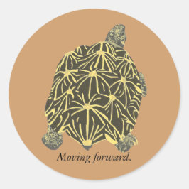 Star Tortoise, Gemälde auf Affirmation Aufklebern Runder Aufkleber