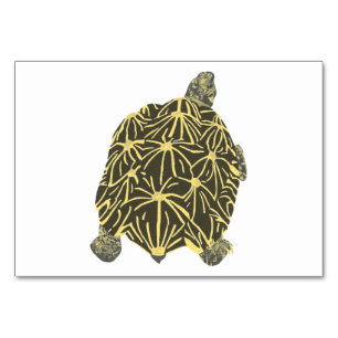 Star Tortoise Turtle Reading Flashcards für Erwach Tischnummer
