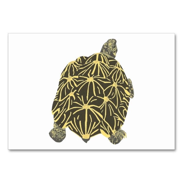 Star Tortoise Turtle Reading Flashcards für Erwach Tischnummer (Vorderseite)
