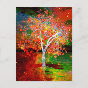 Star Tree Postcard Postkarte