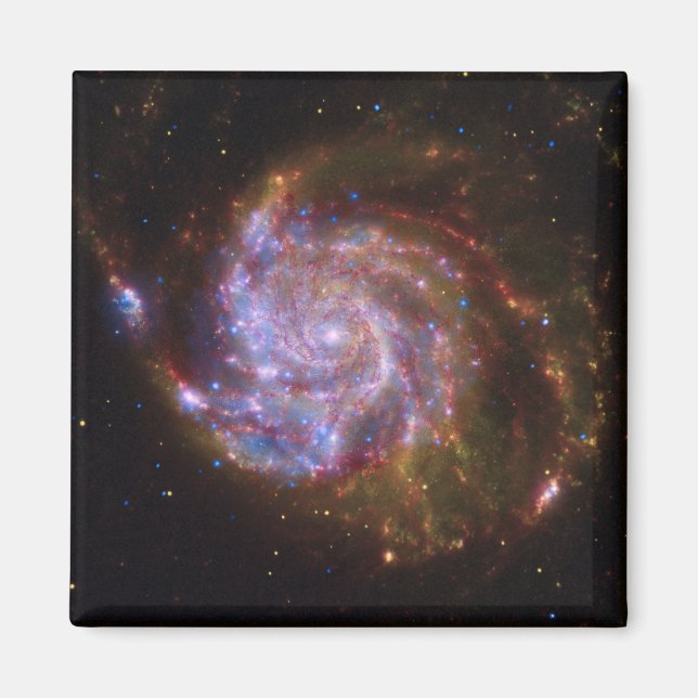 Starbirth im Pinwheel: M101 Galaxy Magnet (Vorne)