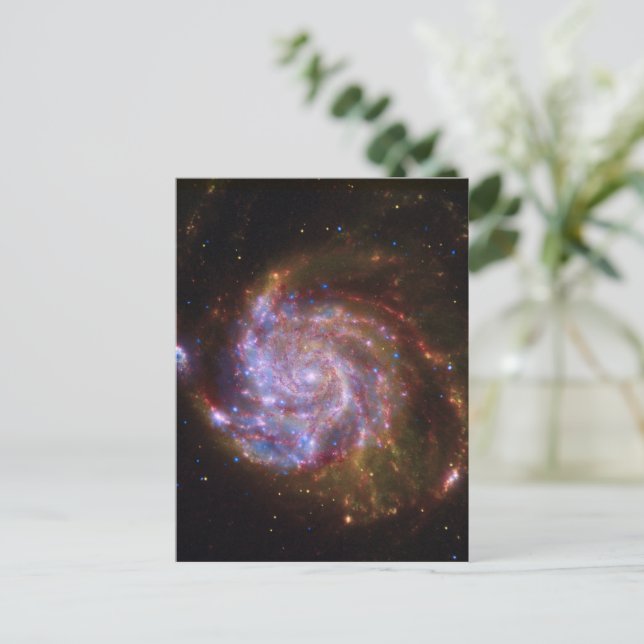 Starbirth im Pinwheel: M101 Galaxy Postkarte (Stehend Vorderseite)