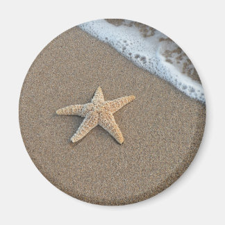 Starfish am Strand Magnet