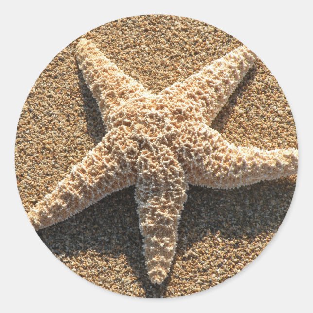 Starfish am Strand Runder Aufkleber (Vorderseite)